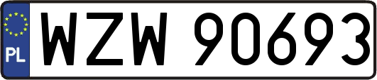 WZW90693