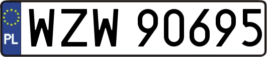WZW90695