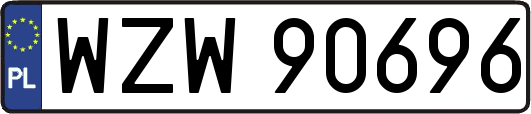 WZW90696