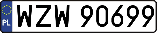 WZW90699