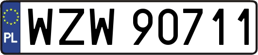 WZW90711