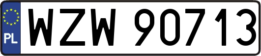 WZW90713