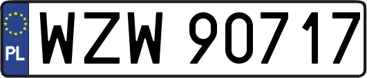 WZW90717