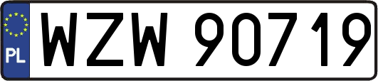 WZW90719