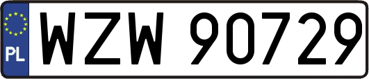 WZW90729