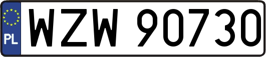 WZW90730