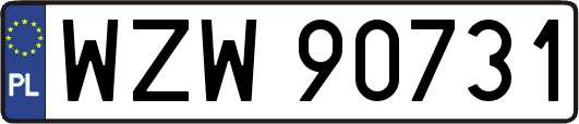 WZW90731