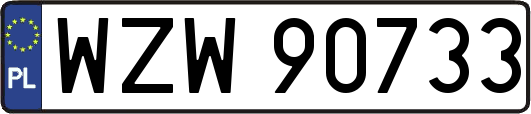 WZW90733