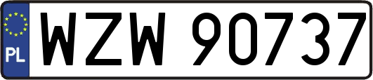WZW90737