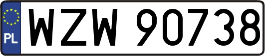 WZW90738
