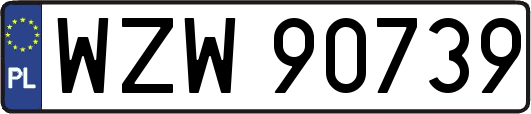 WZW90739