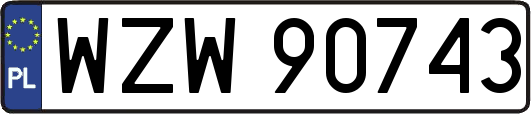WZW90743
