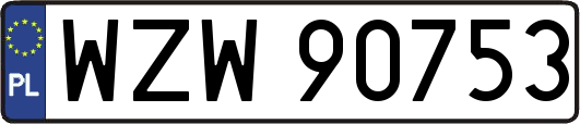 WZW90753