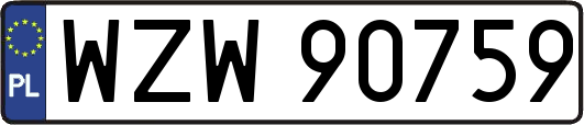 WZW90759