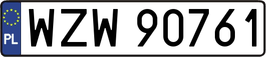 WZW90761