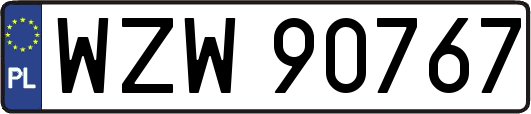 WZW90767