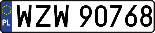 WZW90768