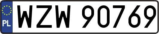 WZW90769