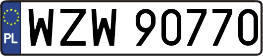 WZW90770
