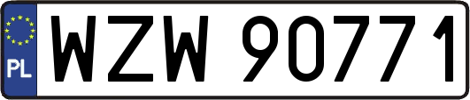 WZW90771