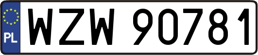 WZW90781