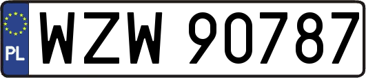 WZW90787