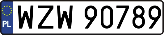 WZW90789