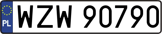 WZW90790
