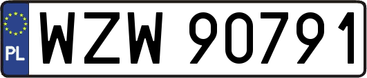 WZW90791