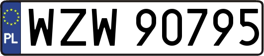 WZW90795