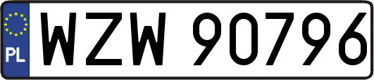 WZW90796