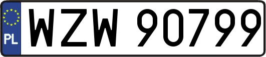 WZW90799