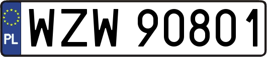 WZW90801