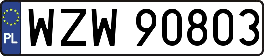 WZW90803