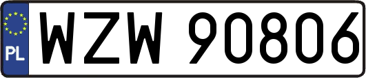 WZW90806