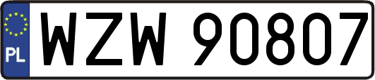 WZW90807