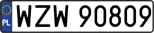 WZW90809
