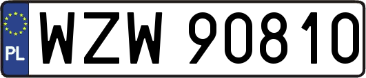 WZW90810