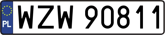 WZW90811