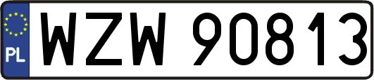 WZW90813
