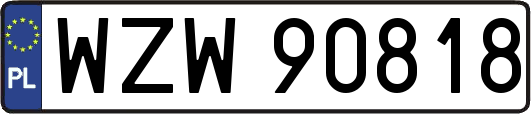 WZW90818
