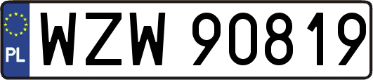 WZW90819