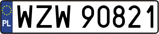 WZW90821