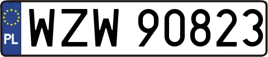 WZW90823