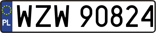 WZW90824