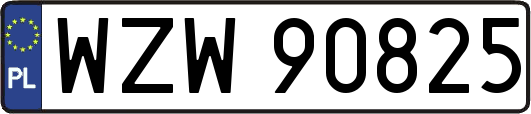 WZW90825