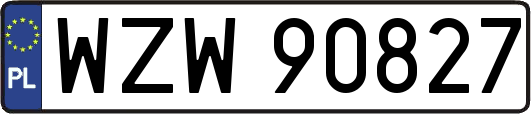 WZW90827