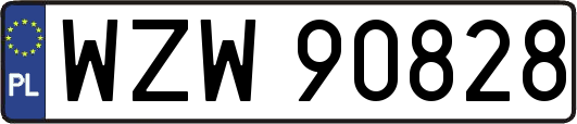 WZW90828