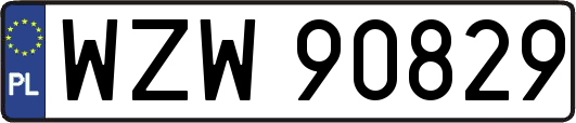 WZW90829