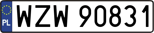 WZW90831